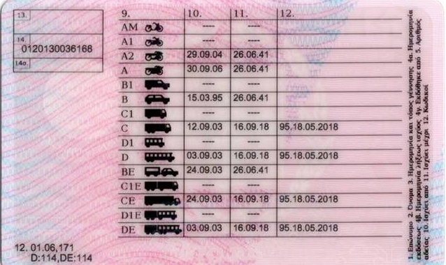 diploma